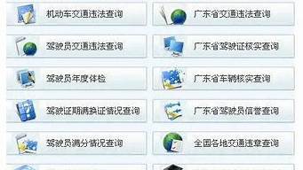驾照扣分记录查询系统_驾照扣分记录查询系