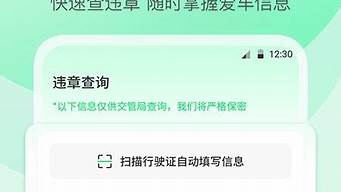 手机上怎样免费查违章_手机上怎样免费查违