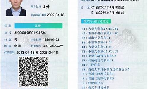 怎么查我的驾驶证信息_怎么查我的驾驶证信