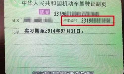 驾驶证证件号查询_驾驶证证件号查询电话